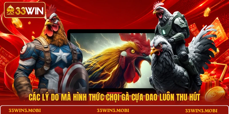 Các lý do mà hình thức chọi gà cựa dao luôn thu hút