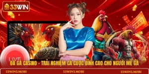 đá gà casino