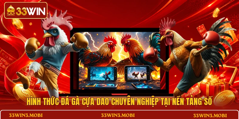 Hình thức đá gà cựa dao chuyên nghiệp tại nền tảng số