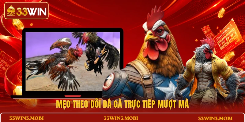Mẹo theo dõi đá gà trực tiếp mượt mà