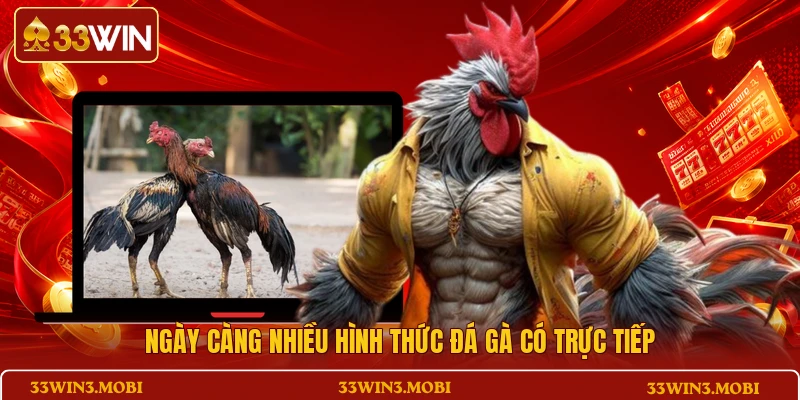 Ngày càng nhiều hình thức đá gà có trực tiếp 