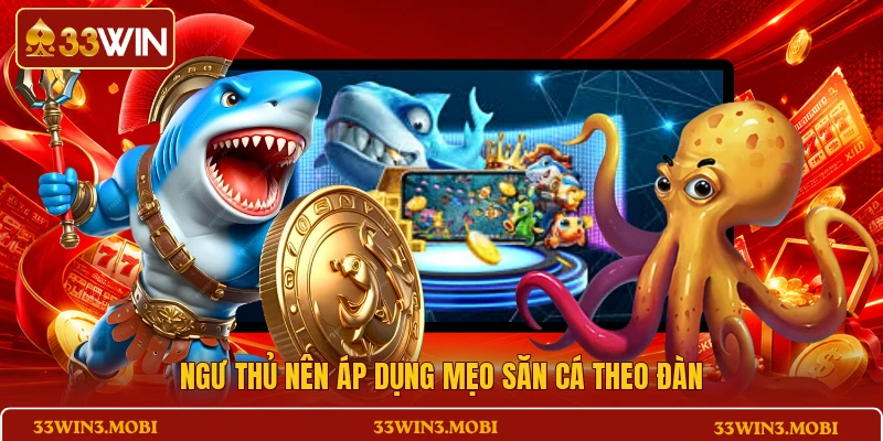 Ngư thủ nên áp dụng mẹo săn cá theo đàn