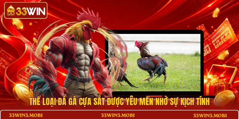 Thể loại đá gà cựa sắt được yêu mến nhờ sự kịch tính