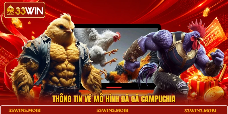Thông tin về mô hình Đá gà Campuchia