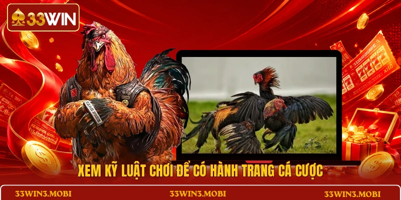 Xem kỹ luật chơi để có hành trang cá cược
